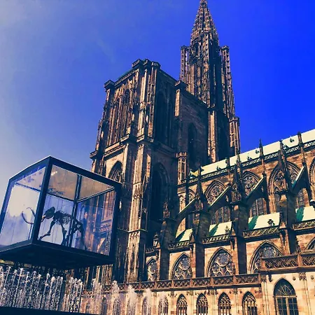 Unik's & Terraza Appartamento Strasburgo